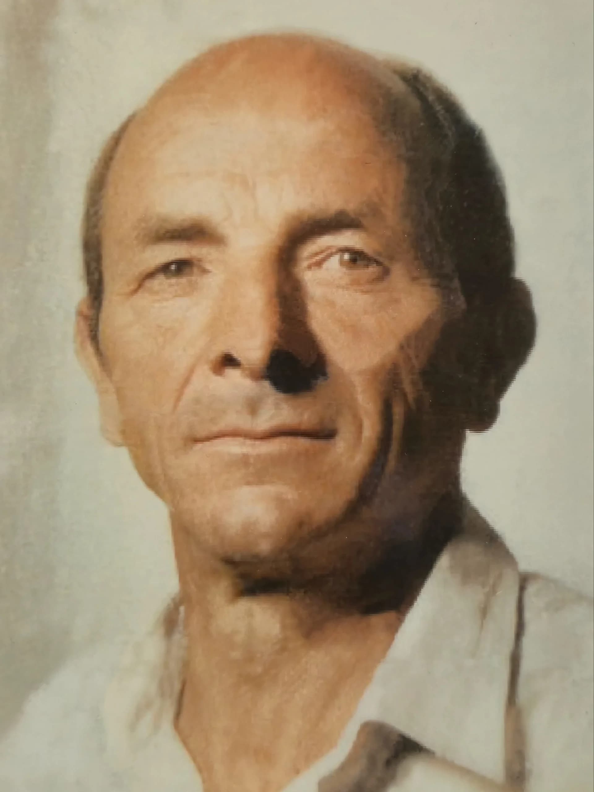 ANTONIO FABBII