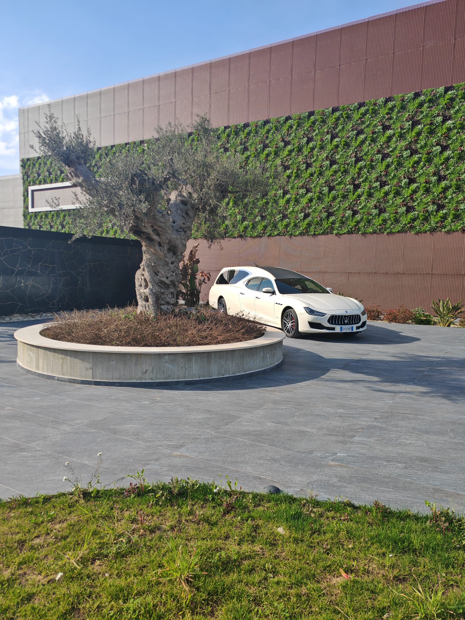 Noleggio autofunebri - Foto 5