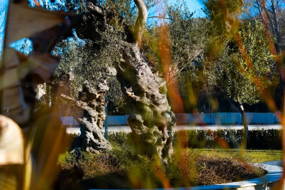L'Oltre: Casa Funeraria di Teramo a servizio di tutte le imprese - Foto 1